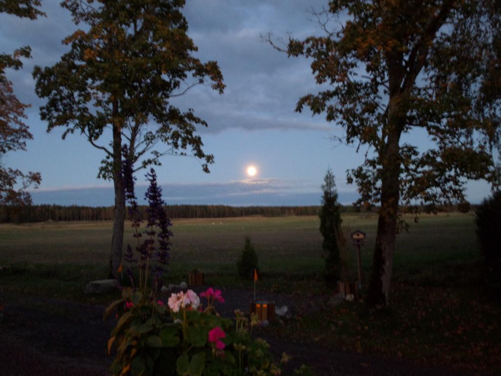 Skogis Bed & Breakfast Katrineholm Ngoại thất bức ảnh